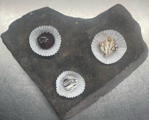 5DFFB927-EB74-4240-AA7A-D537F982FEF2