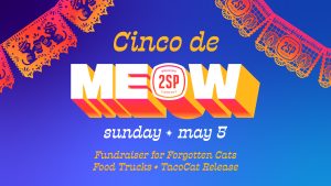Cinco De Meow TV FB Cover