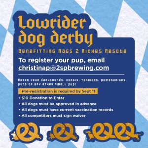 Dog Derby Post 2