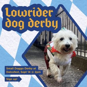 Dog Derby Post