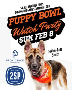 Puppy Bowl – Post